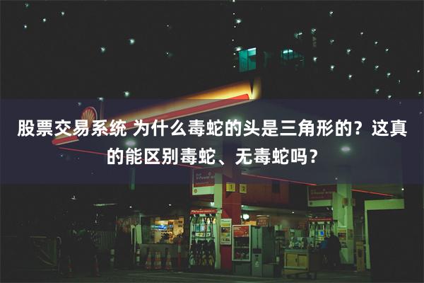 股票交易系统 为什么毒蛇的头是三角形的？这真的能区别毒蛇、无毒蛇吗？