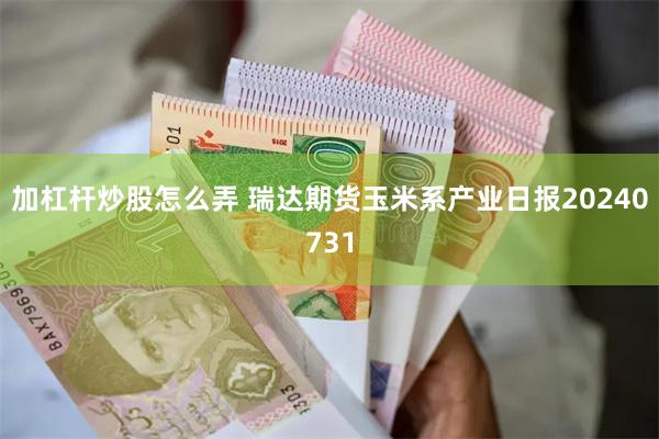 加杠杆炒股怎么弄 瑞达期货玉米系产业日报20240731