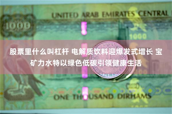 股票里什么叫杠杆 电解质饮料迎爆发式增长 宝矿力水特以绿色低碳引领健康生活