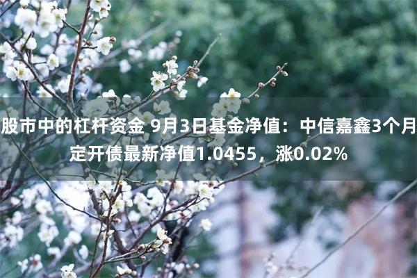 股市中的杠杆资金 9月3日基金净值：中信嘉鑫3个月定开债最新净值1.0455，涨0.02%