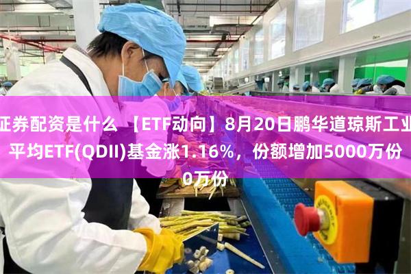 证券配资是什么 【ETF动向】8月20日鹏华道琼斯工业平均ETF(QDII)基金涨1.16%，份额增加5000万份