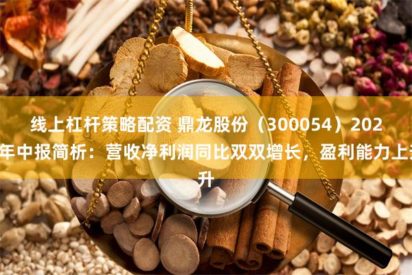 线上杠杆策略配资 鼎龙股份（300054）2024年中报简析：营收净利润同比双双增长，盈利能力上升