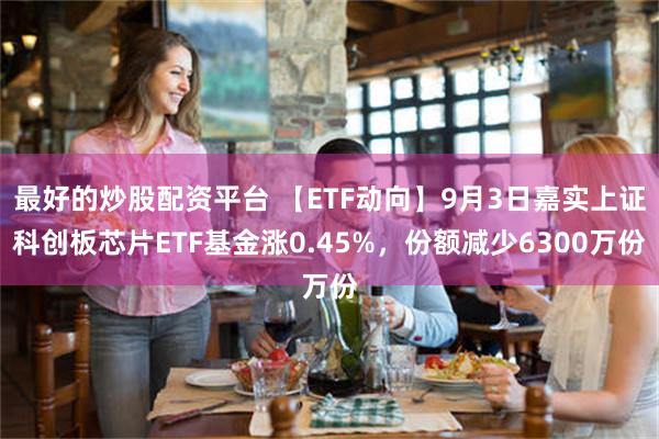 最好的炒股配资平台 【ETF动向】9月3日嘉实上证科创板芯片ETF基金涨0.45%，份额减少6300万份