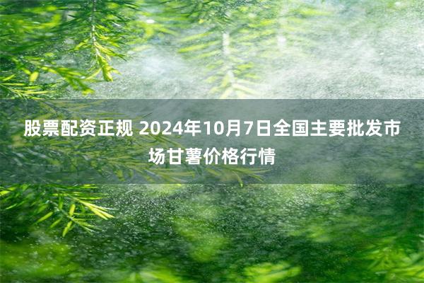 股票配资正规 2024年10月7日全国主要批发市场甘薯价格行情