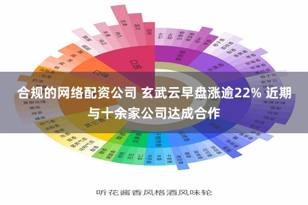 合规的网络配资公司 玄武云早盘涨逾22% 近期与十余家公司达成合作