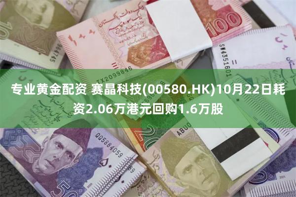 专业黄金配资 赛晶科技(00580.HK)10月22日耗资2.06万港元回购1.6万股