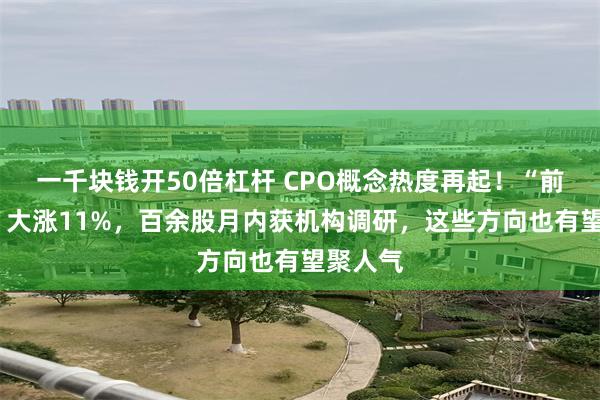 一千块钱开50倍杠杆 CPO概念热度再起！“前5倍牛”大涨11%，百余股月内获机构调研，这些方向也有望聚人气