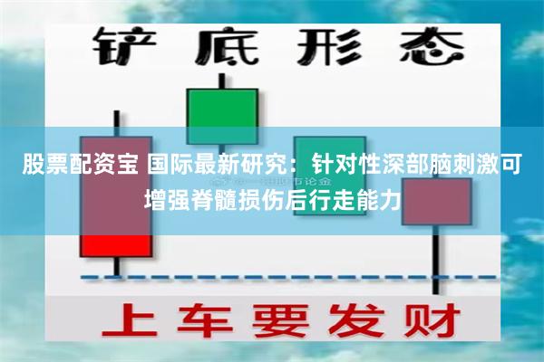 股票配资宝 国际最新研究：针对性深部脑刺激可增强脊髓损伤后行走能力