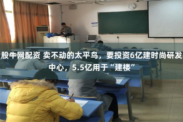 股牛网配资 卖不动的太平鸟，要投资6亿建时尚研发中心，5.5亿用于“建楼”