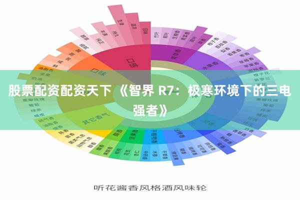 股票配资配资天下 《智界 R7：极寒环境下的三电强者》