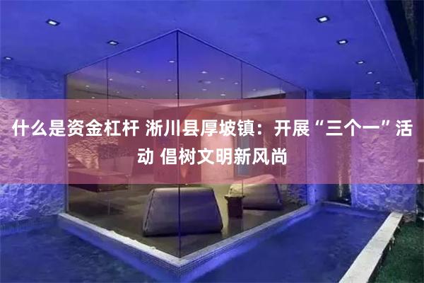 什么是资金杠杆 淅川县厚坡镇：开展“三个一”活动 倡树文明新风尚