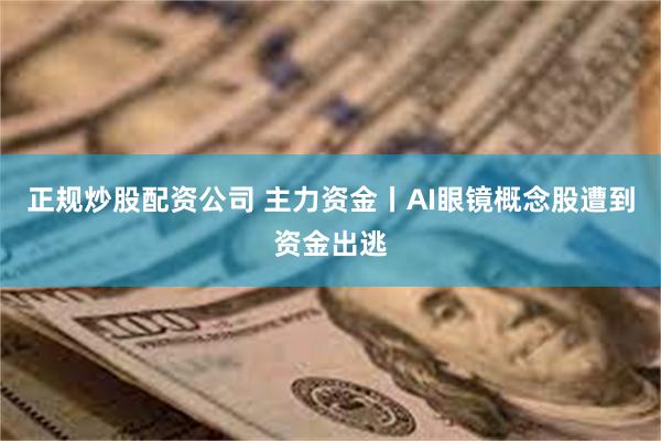 正规炒股配资公司 主力资金丨AI眼镜概念股遭到资金出逃