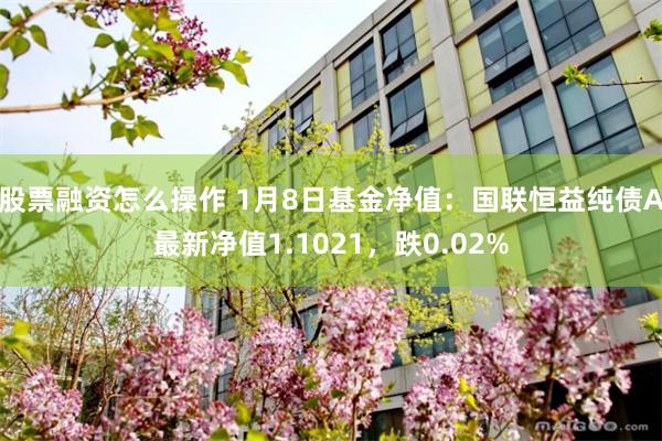 股票融资怎么操作 1月8日基金净值：国联恒益纯债A最新净值1.1021，跌0.02%