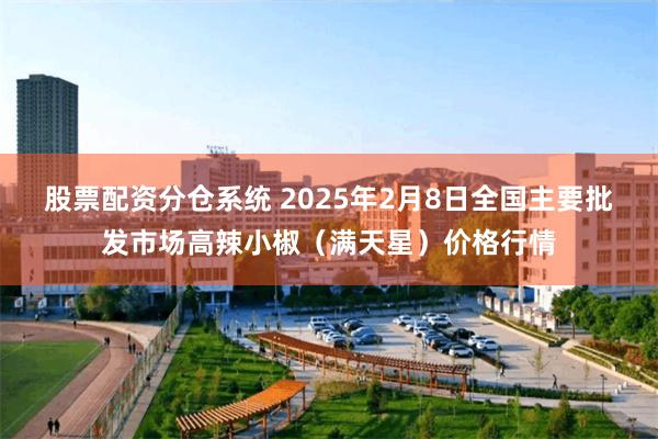 股票配资分仓系统 2025年2月8日全国主要批发市场高辣小椒（满天星）价格行情